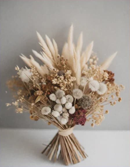 ??????????? ????????